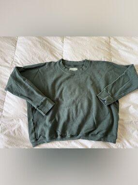 Aliya Wanek Ami sweater green